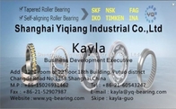 INA Cylindrical Roller Bearing F-207407.2 for Printing Machine